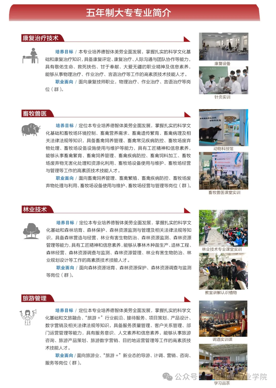 香格里拉职业学院 迪庆藏族自治州民族中等专业学校2024年招生简章（中职）(图4)