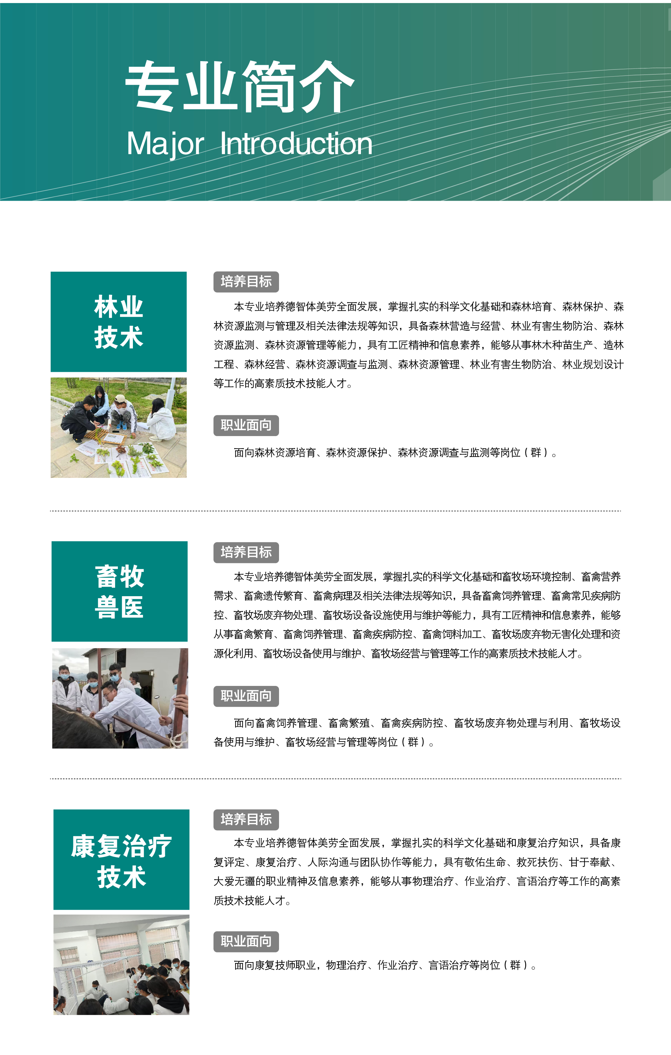 香格里拉职业学院2025年招生简章（高职）(图4)