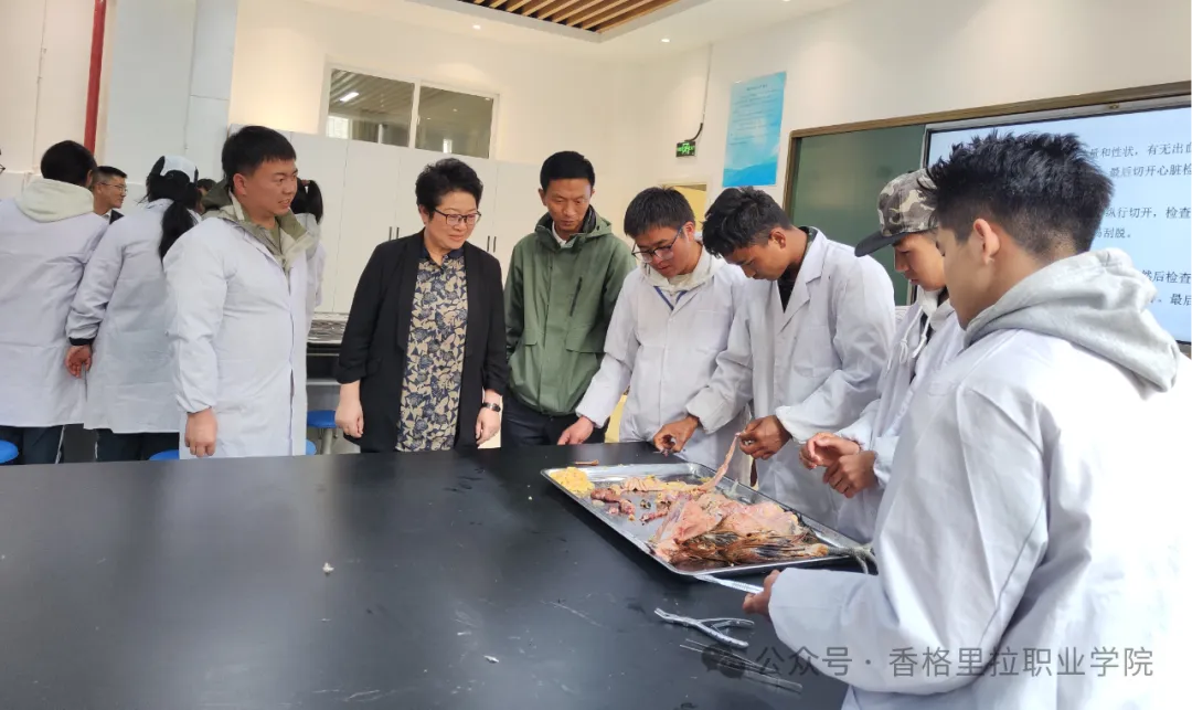 大理农林职业技术学院到我院开展五年制高职联合办学交流工作(图5)