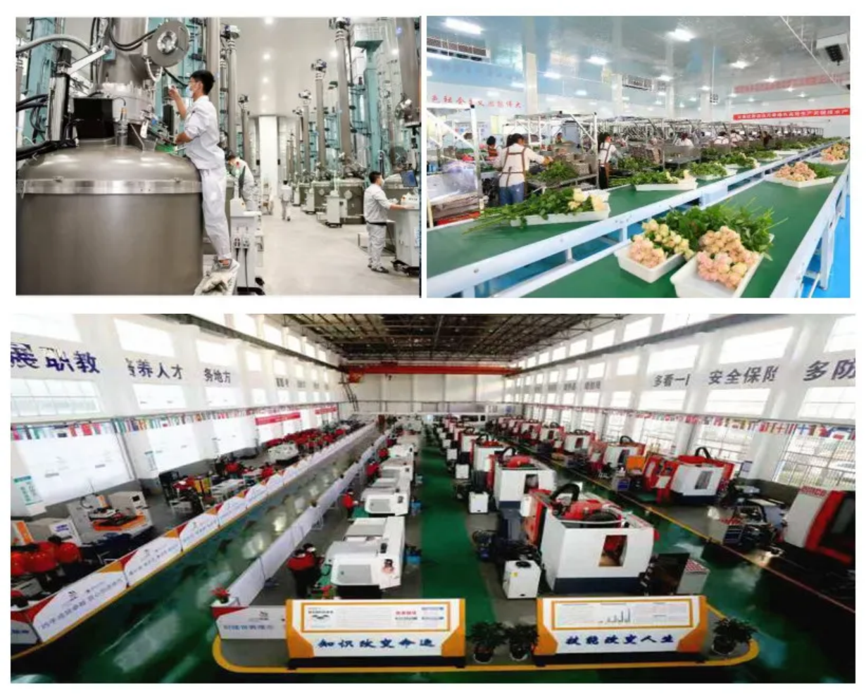 云南省部署推进省域现代职业教育体系建设改革试点工作(图2)