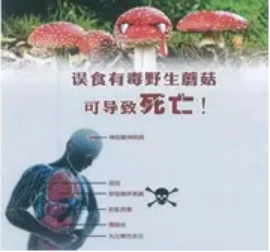 安全提醒｜学院校2024年国庆节假期安全提醒(图6)