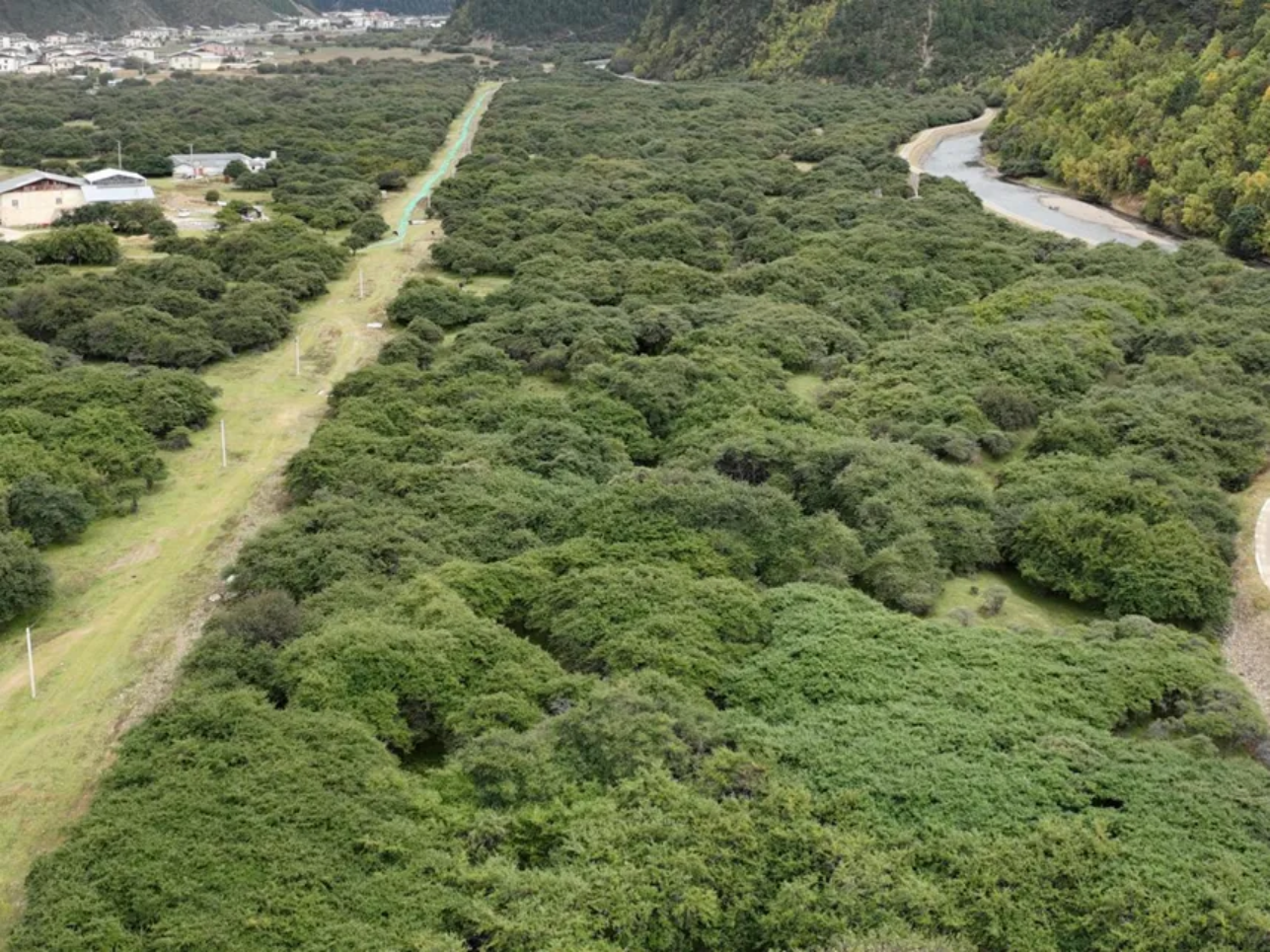 香职新闻｜探索自然奥秘 锤炼专业技能 —香格里拉职业学院林业技术专业学生外出实践纪实(图3)