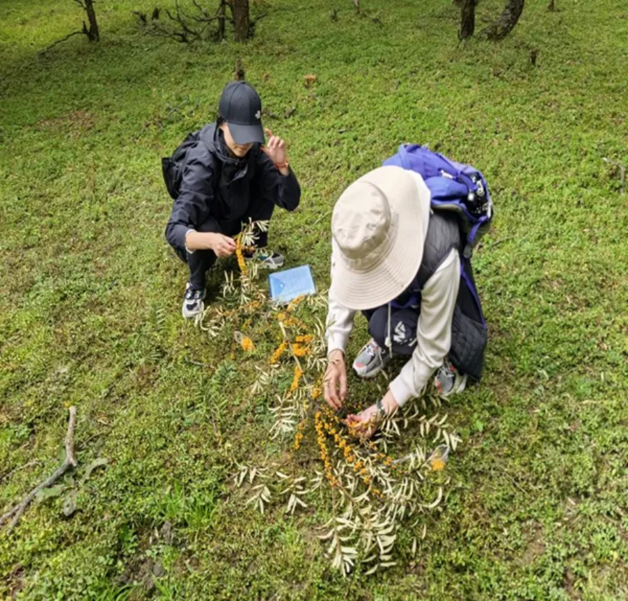 香职新闻｜探索自然奥秘 锤炼专业技能 —香格里拉职业学院林业技术专业学生外出实践纪实(图5)