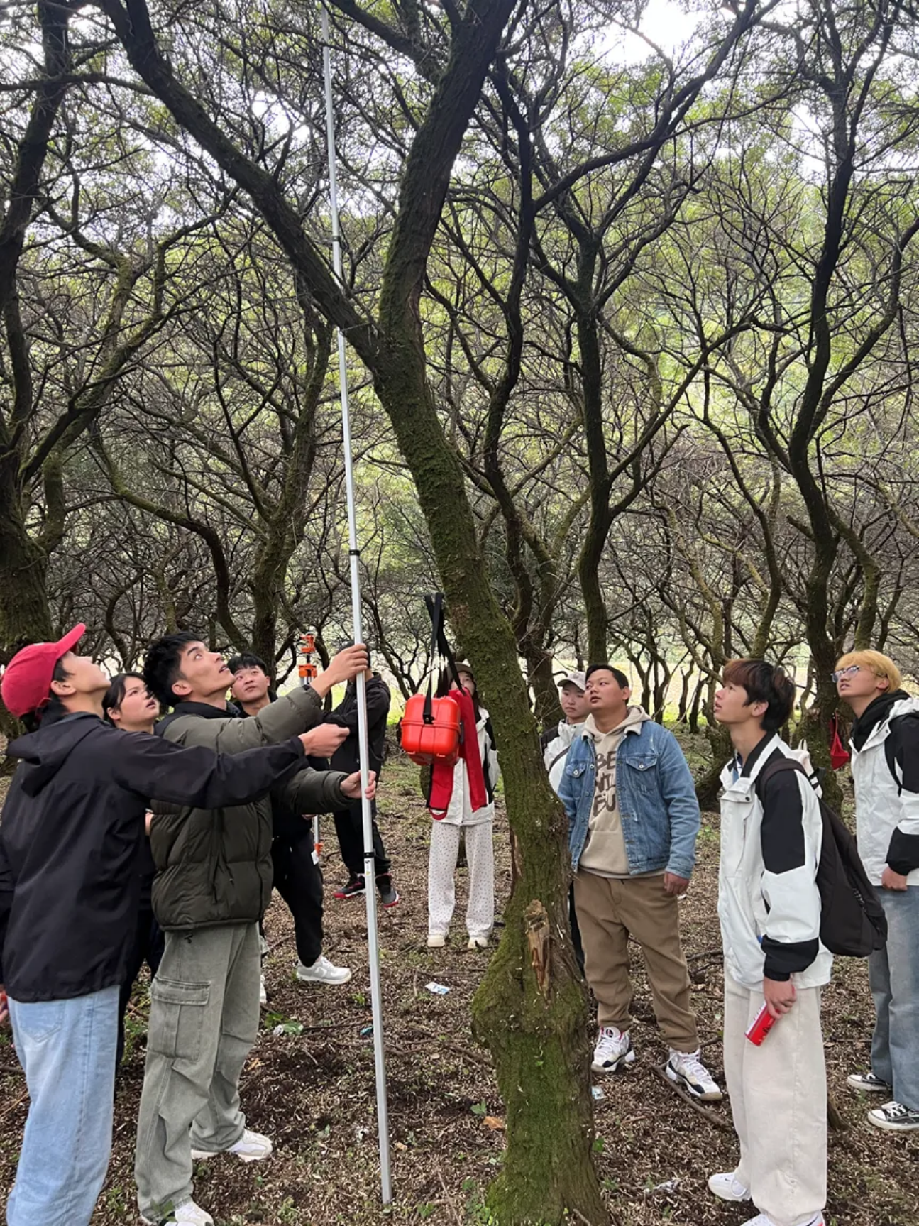 香职新闻｜探索自然奥秘 锤炼专业技能 —香格里拉职业学院林业技术专业学生外出实践纪实(图7)