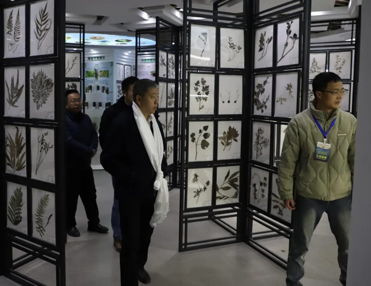 香职新闻｜上海科学院党委委员 纪委书记方勤一行莅临我校调研交流(图4)