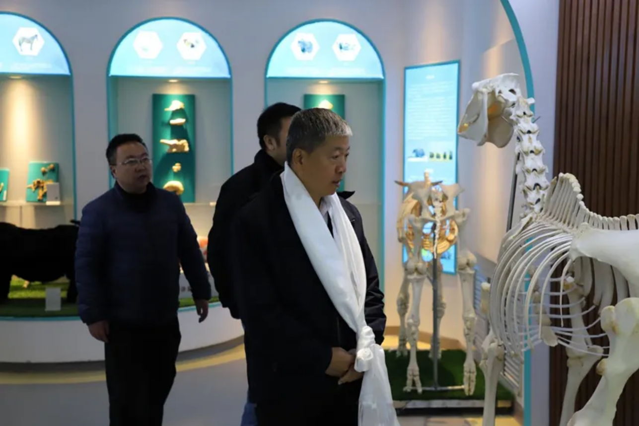 香职新闻｜上海科学院党委委员 纪委书记方勤一行莅临我校调研交流(图7)