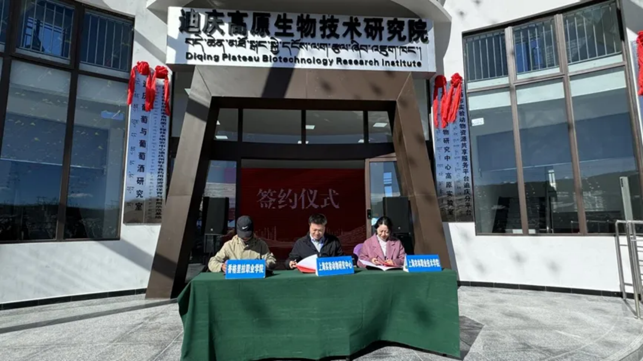 香职新闻｜上海科学院党委委员 纪委书记方勤一行莅临我校调研交流(图8)