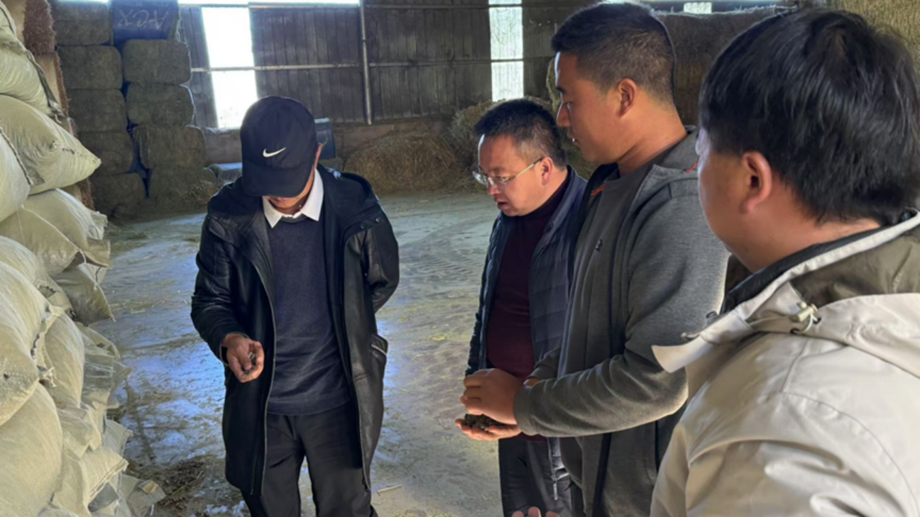 香职新闻｜访企拓岗聚资源 校企合作促就业(图2)