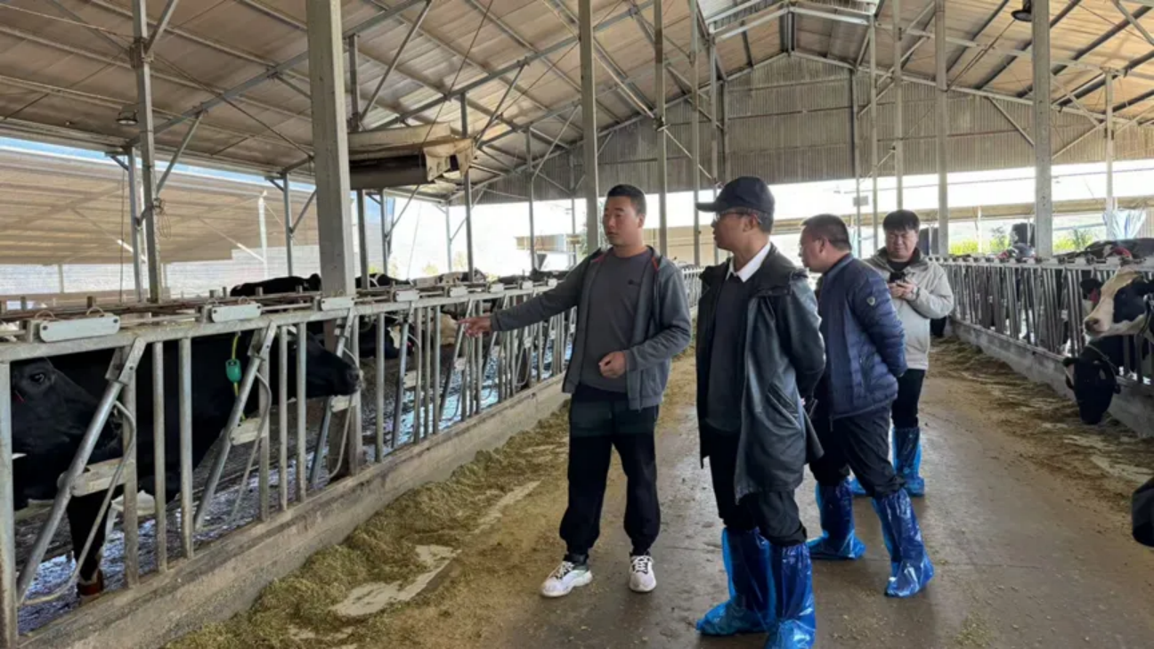 香职新闻｜访企拓岗聚资源 校企合作促就业(图3)