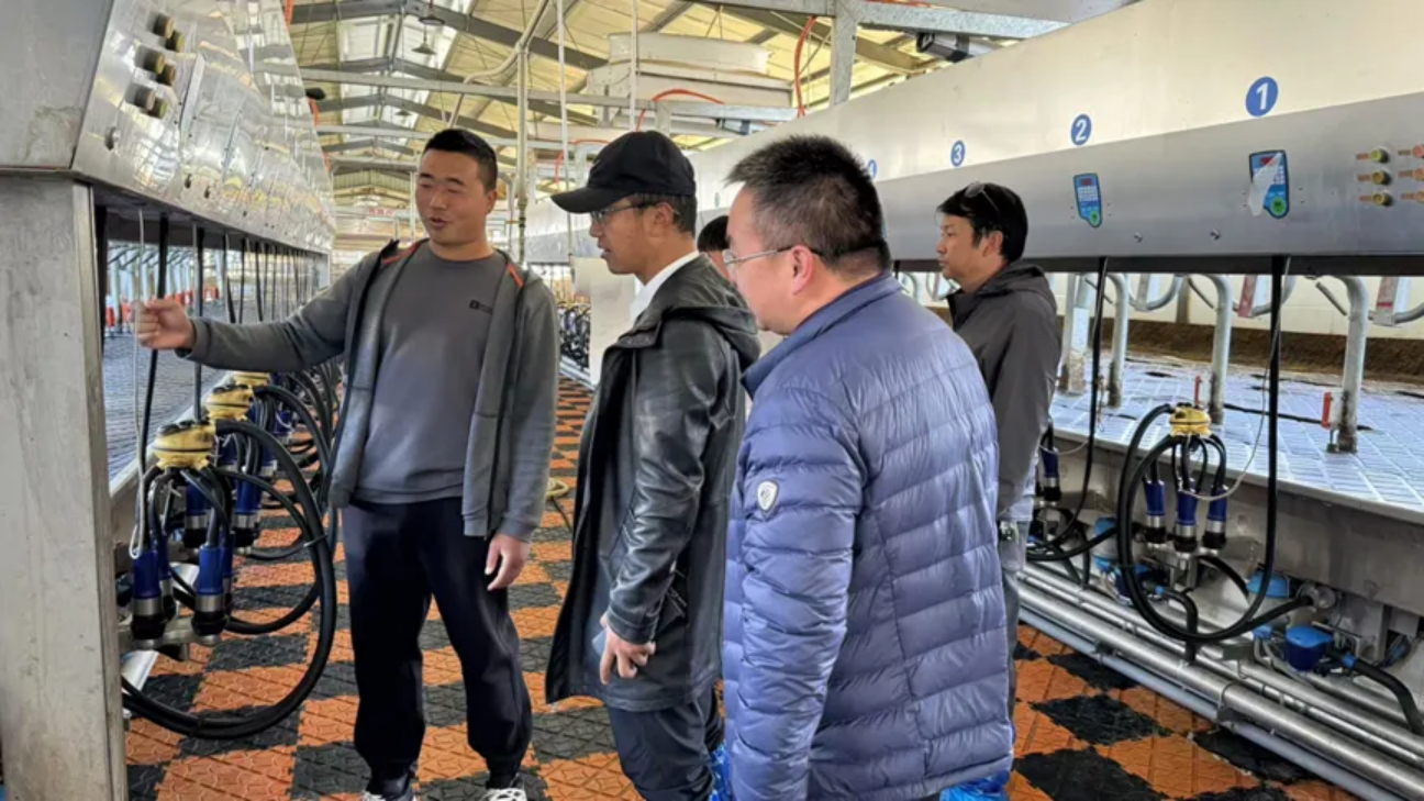 香职新闻｜访企拓岗聚资源 校企合作促就业(图4)